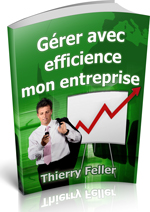 Gérer avec efficience mon entreprise Stratégies pour réussir